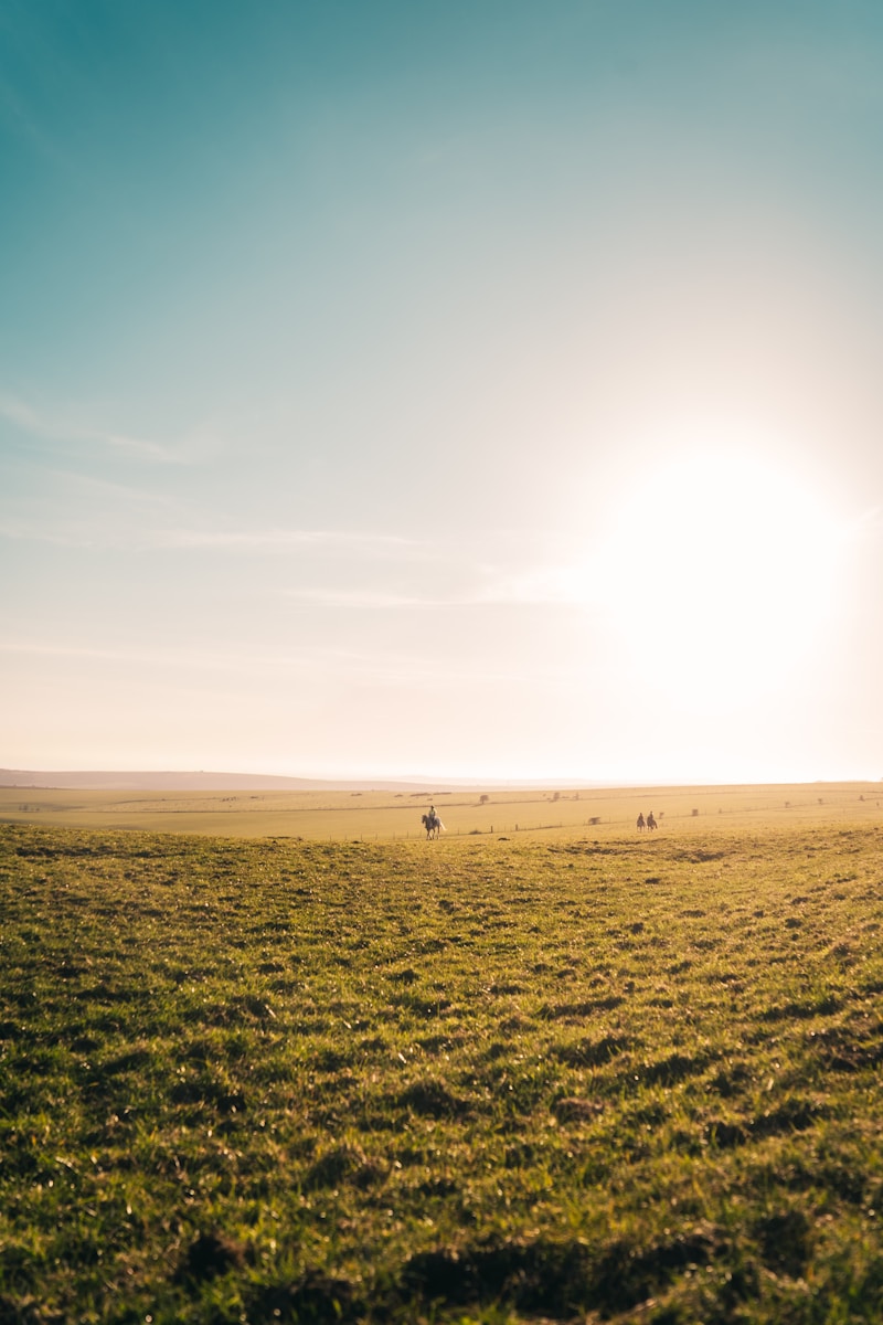 Photo by Ben Collins green grass field under blue sky during daytime