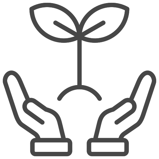 reforestation
